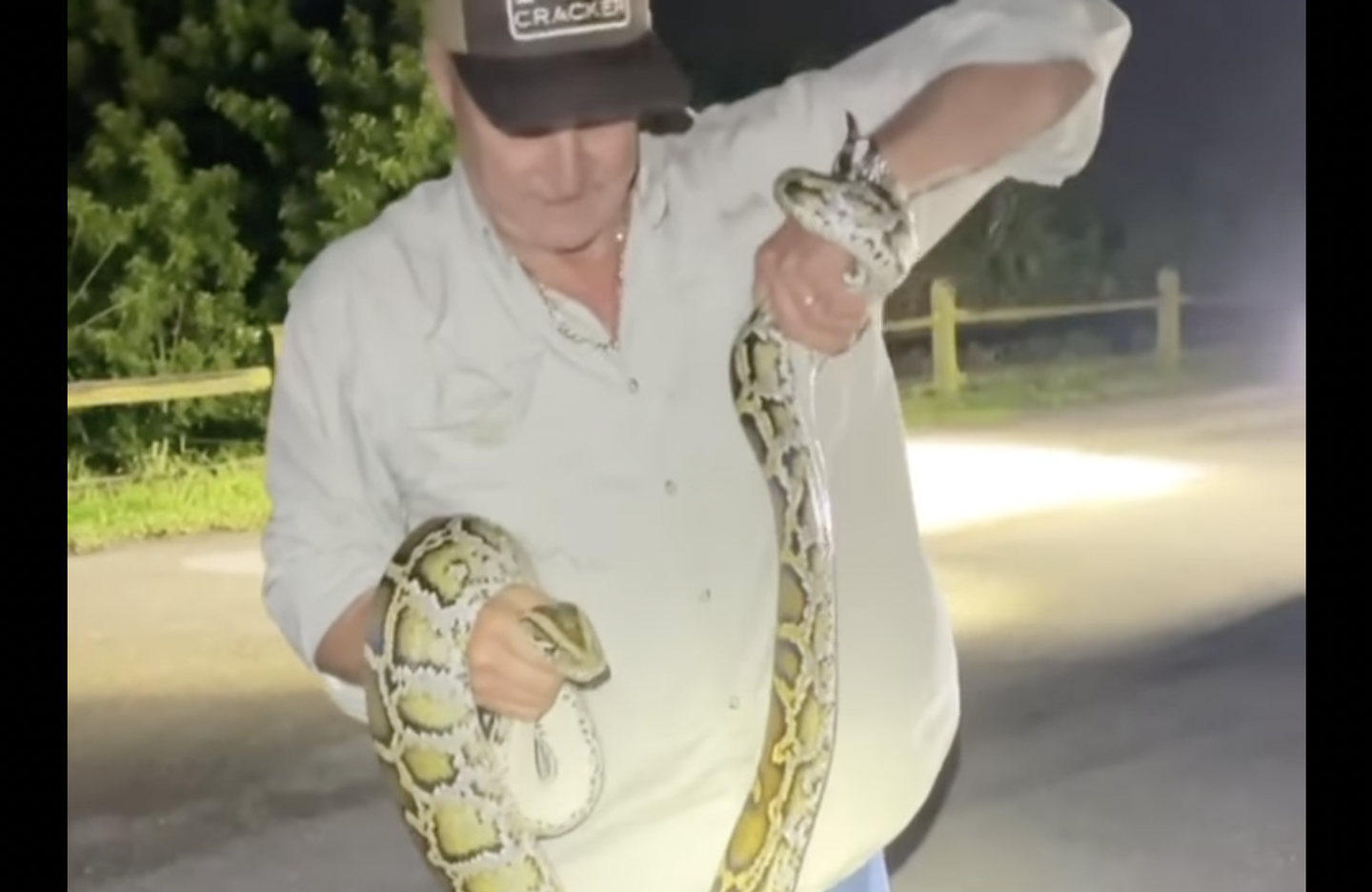 Video: Florida Trapper Shows How to Grab a Python Without Getting Bitten