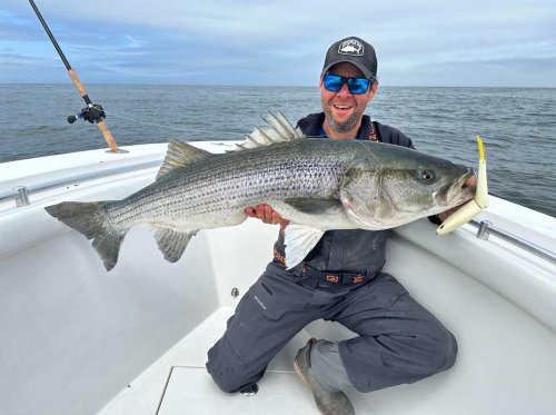 Use Glide Baits to Catch Giant Saltwater Stripers and Snook