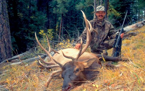 The Best Elk Hunting Calibers in 2022