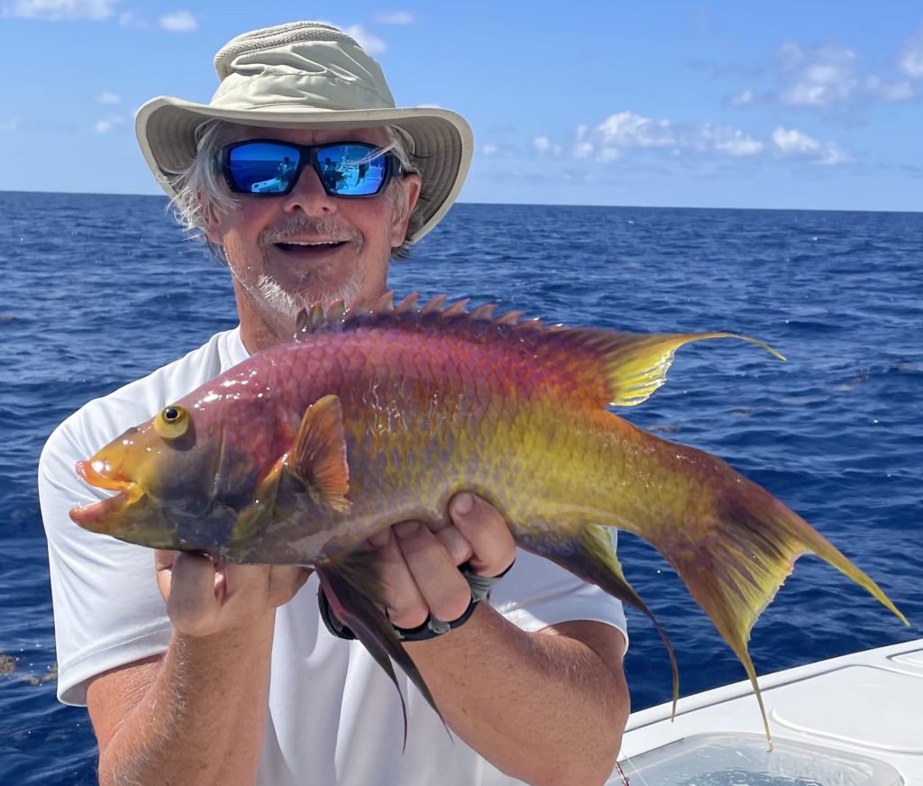 Bizarre Spanish Hogfish Catch Off the Coast of North Carolina Is a World Record