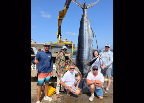 12-Year-Old Girl Catches Pending World-Record Blue Marlin Off West African Coast
