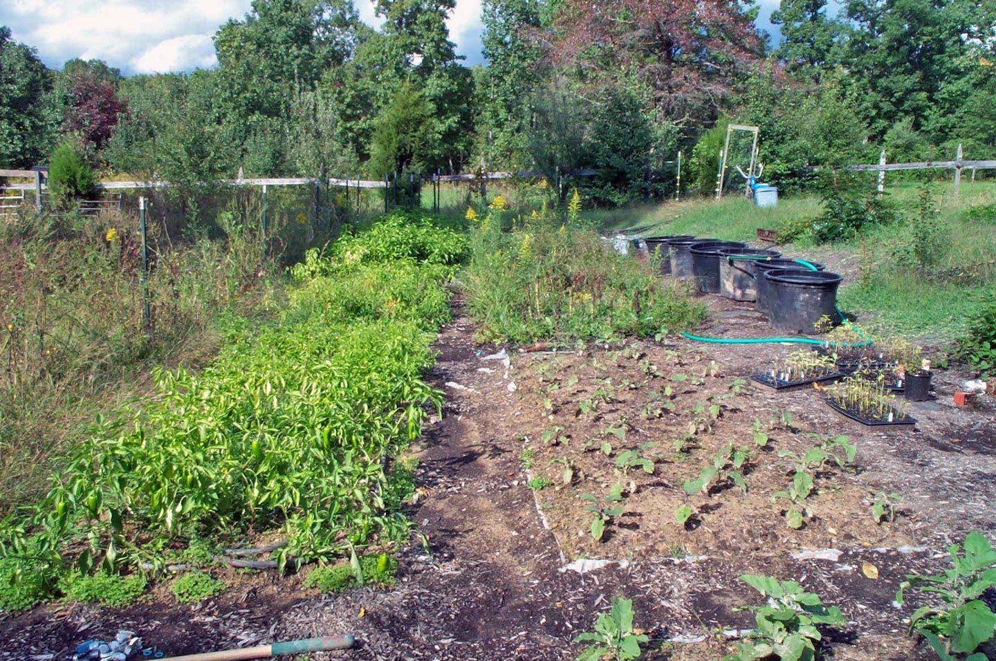 Want to Plant the Ultimate Survival Garden This Spring? You Better Start Planning Right Now