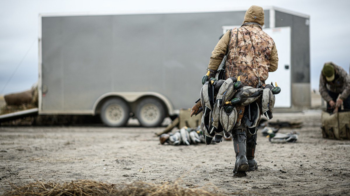 One of Canada’s Best Duck-Hunting Provinces Is Now Restricting Nonresidents. Here’s Why