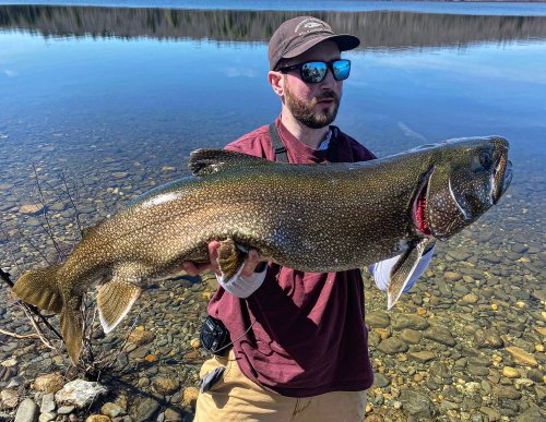 Watch: Massachusetts Angler Catches Potential Record Lake Trout from Shore