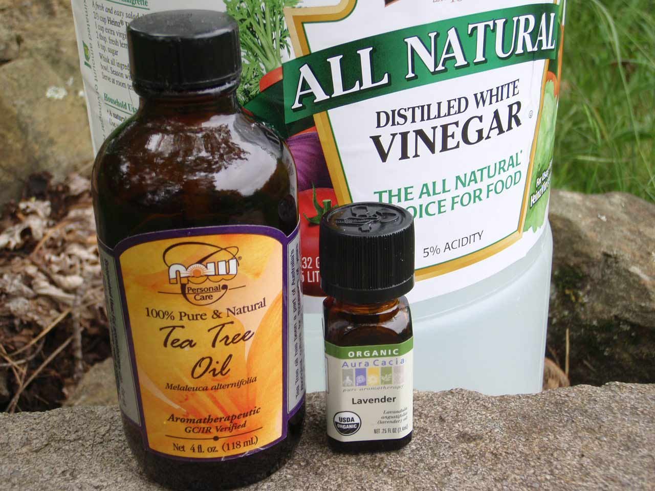 8 Natural Ways to Repel Insects Without Bug Spray