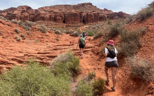Your Guide to REI’s Anniversary Sale: 25% Off Adventure Gear