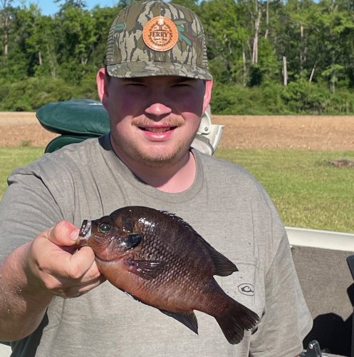 ‘Never Seen a Stumpknocker So Big!” Georgia Catfisherman Lands Record Spotted Sunfish