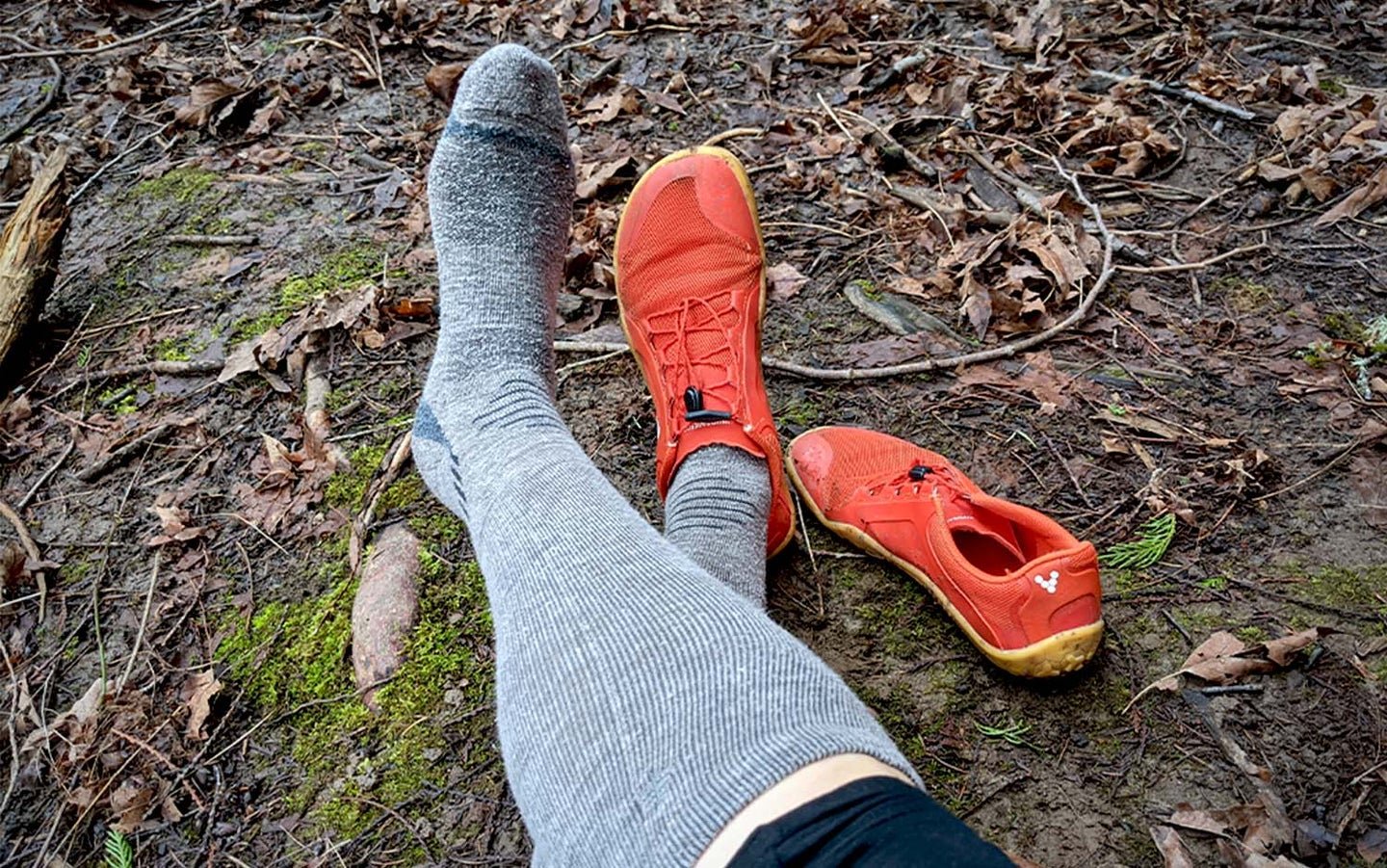 Best Hiking Socks for 2022