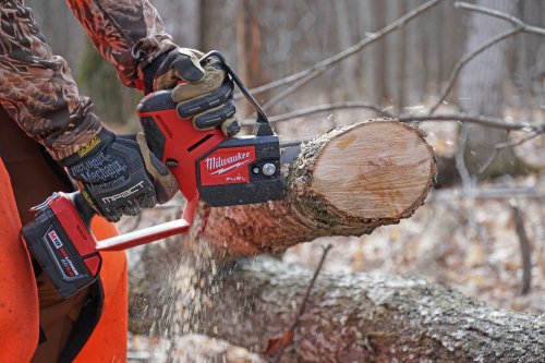 Best Mini Chainsaws of 2024, Tested and Reviewed