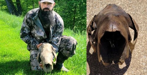 West Virginia Turkey Hunter Discovers Giant Sloth Skull That’s at Least 11,000 Years Old