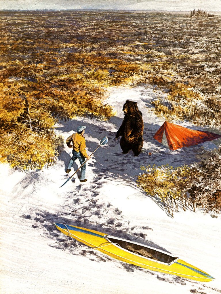 Wilderness Survival