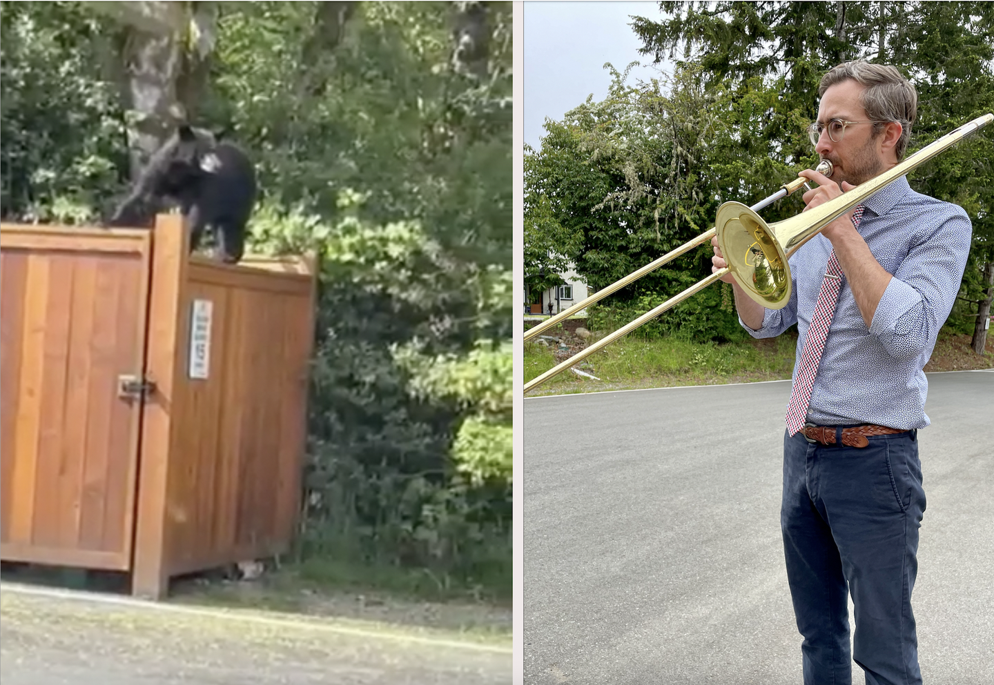Canadian Music Teacher Scares Bear Off Campus with a Trombone