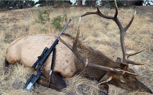 The Best Elk Hunting Rifles of 2022
