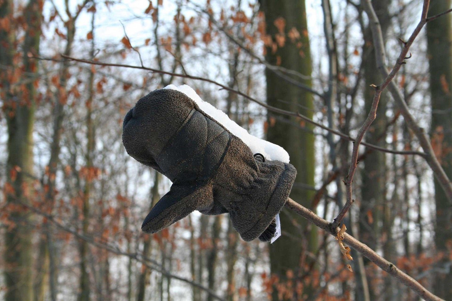 Best Heated Gloves: Outdoor Winter Gear to Help You Get A Warm Grip on Winter