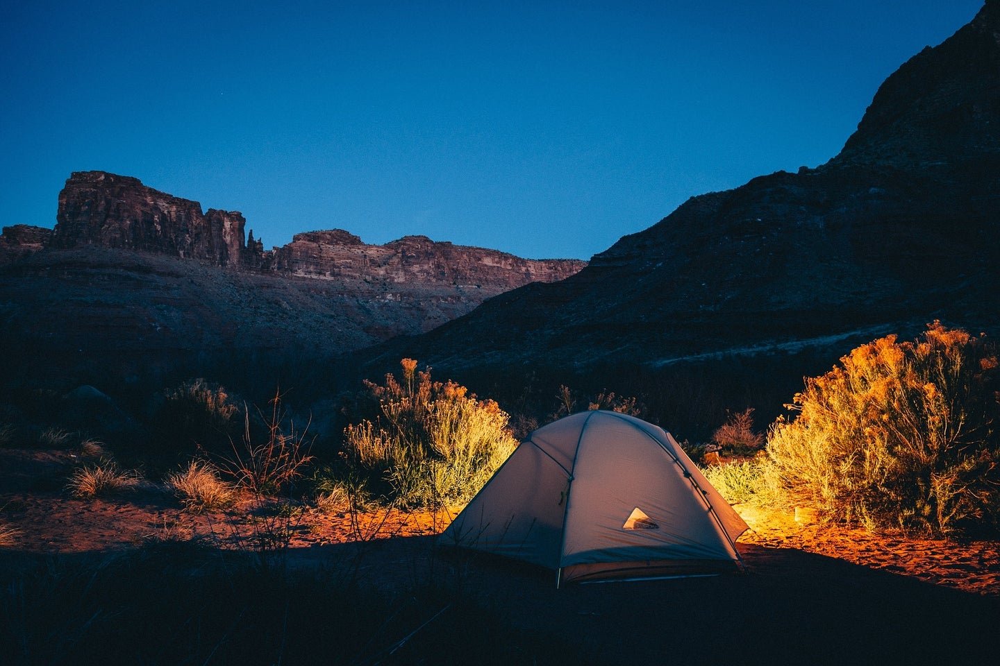 8 Proven Strategies to Keep the Bugs Away on Your Next Camping Trip