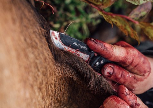 The Best Hunting Knives of 2025, Tested and Reviewed