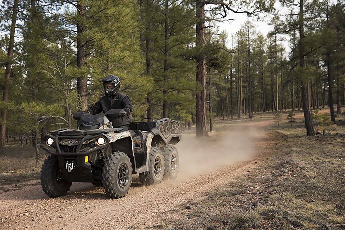 ATVs cover image