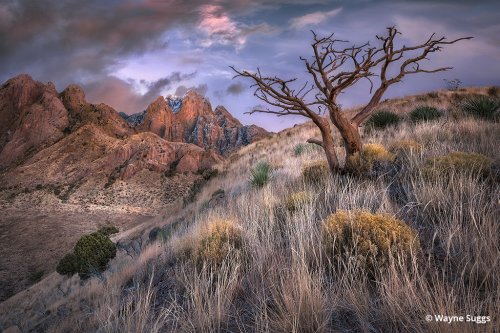 Organ Mountains Desert Peaks National Monument Flipboard