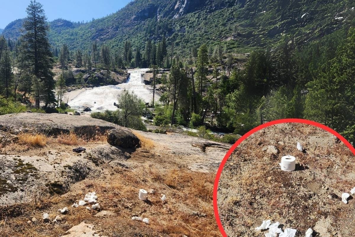 Yosemite Has Had It With People’s Dirty Toilet Paper