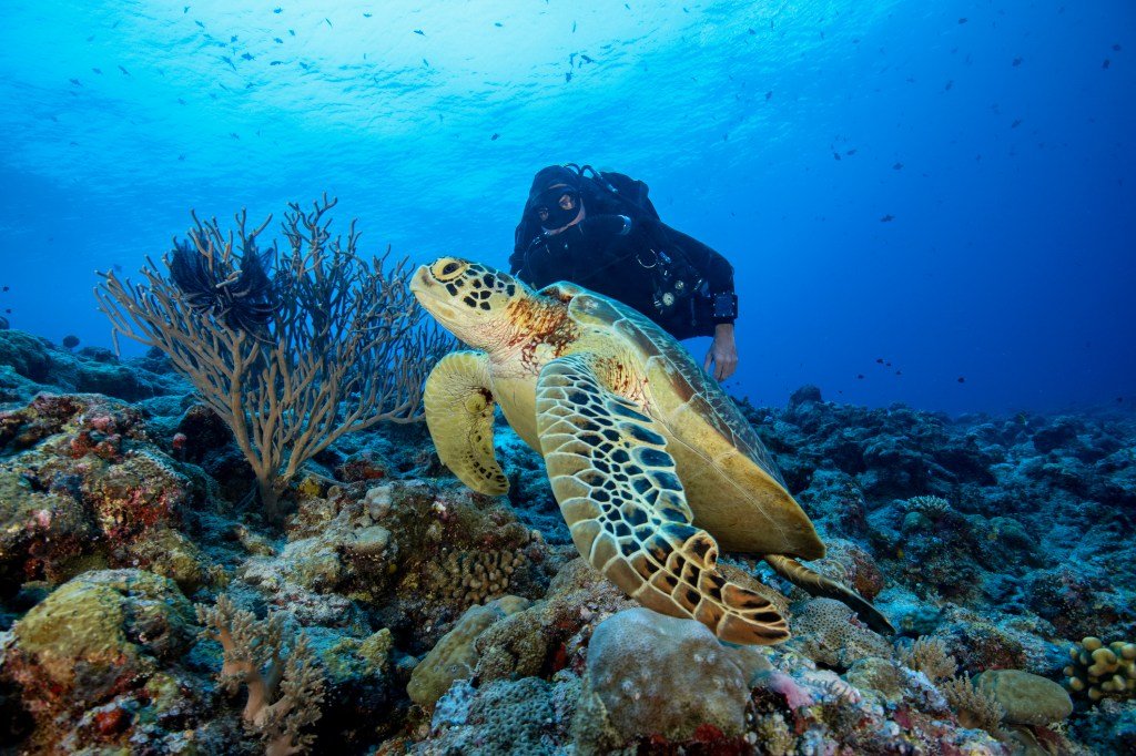 15 Best Places to Scuba Dive on Earth