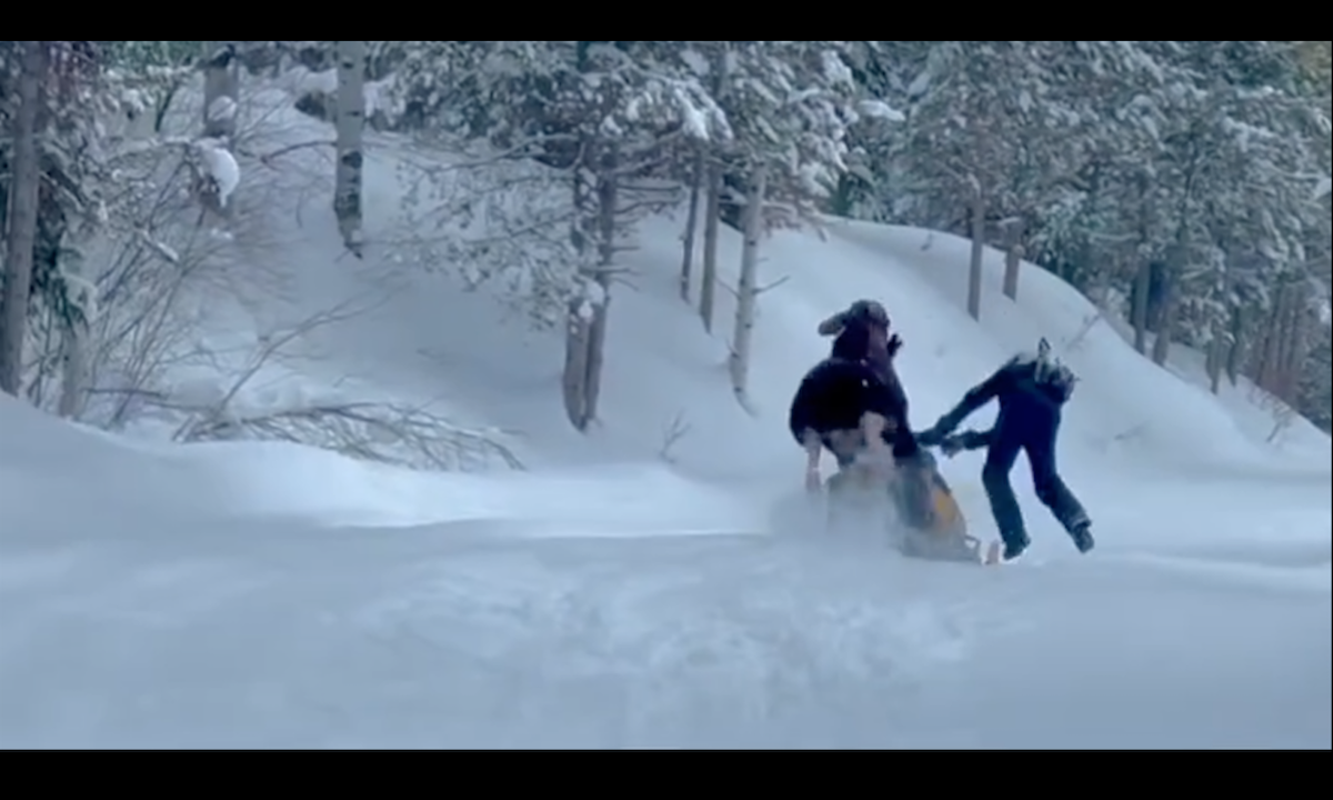 WATCH: Moose Charges Snowmobiler, Catapults Over Handlebars