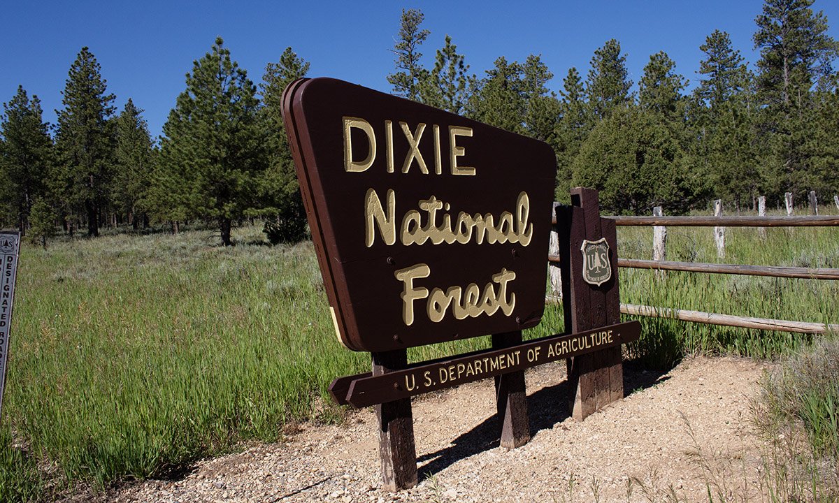 How and Why You Should Visit Red Canyon in Utah’s Dixie National Forest