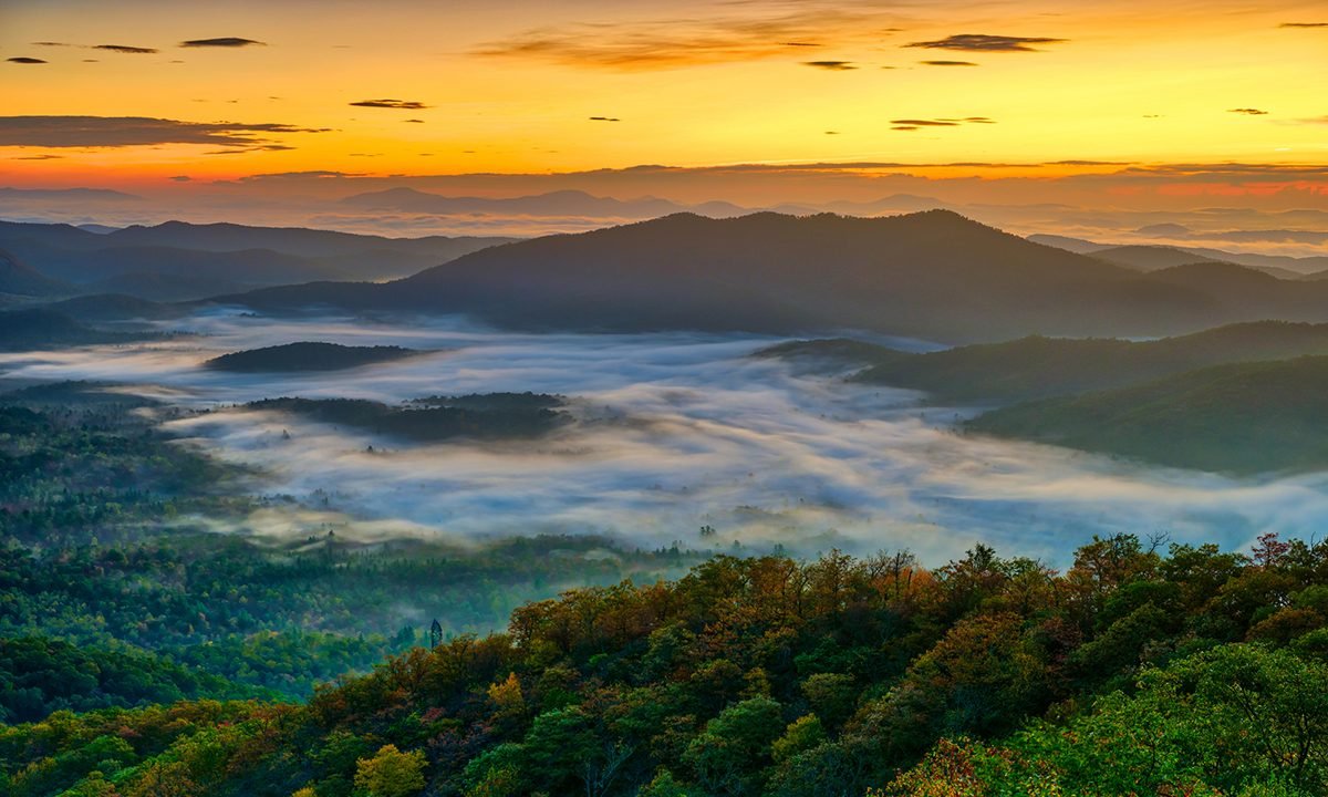 5 Amazing National Forests To Visit This Summer