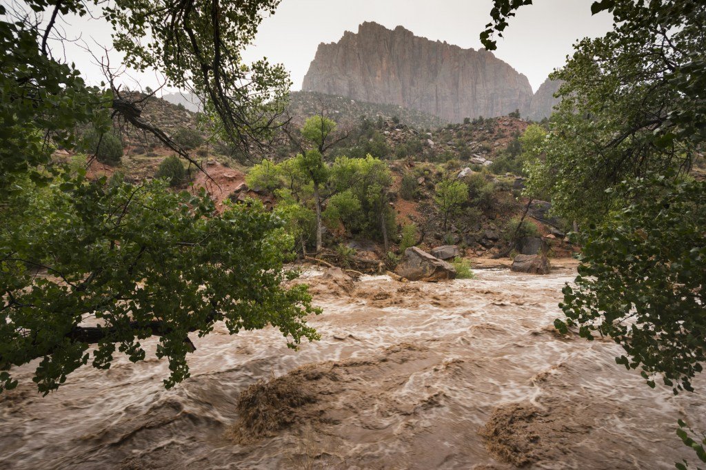 Bear Grylls on How to Survive a Flash Flood
