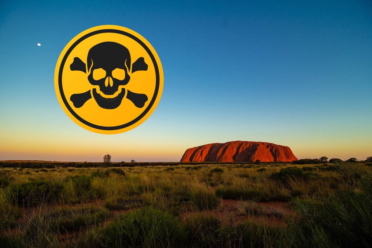 5 Animals in Australia That Could Easily Kill You, Plus How to Avoid Them
