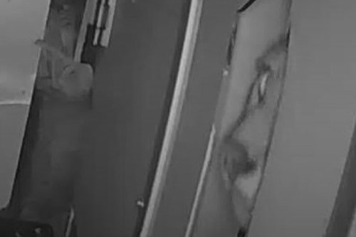 Security Cam Catches Mountain Lion Peeking Through Doggy Door