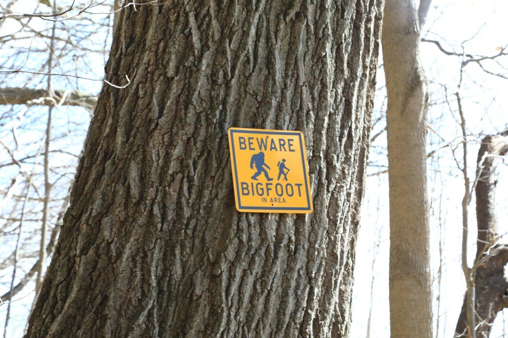 Could Bigfoot Actually Be Real? This Professor Thinks So.