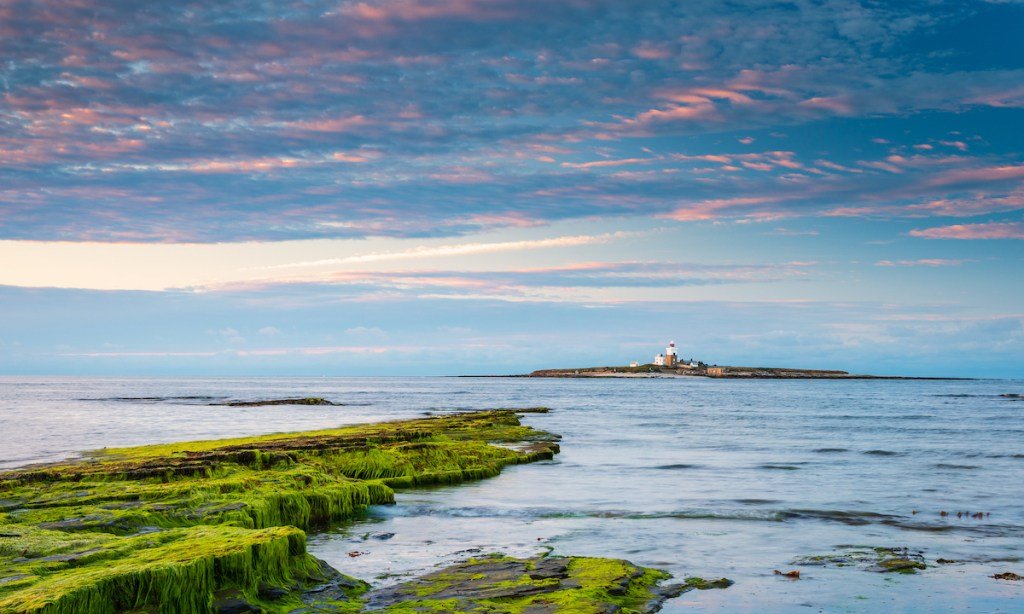 Dream Job Alert: Live in a Lighthouse, Count Puffins—and Wield Lasers?