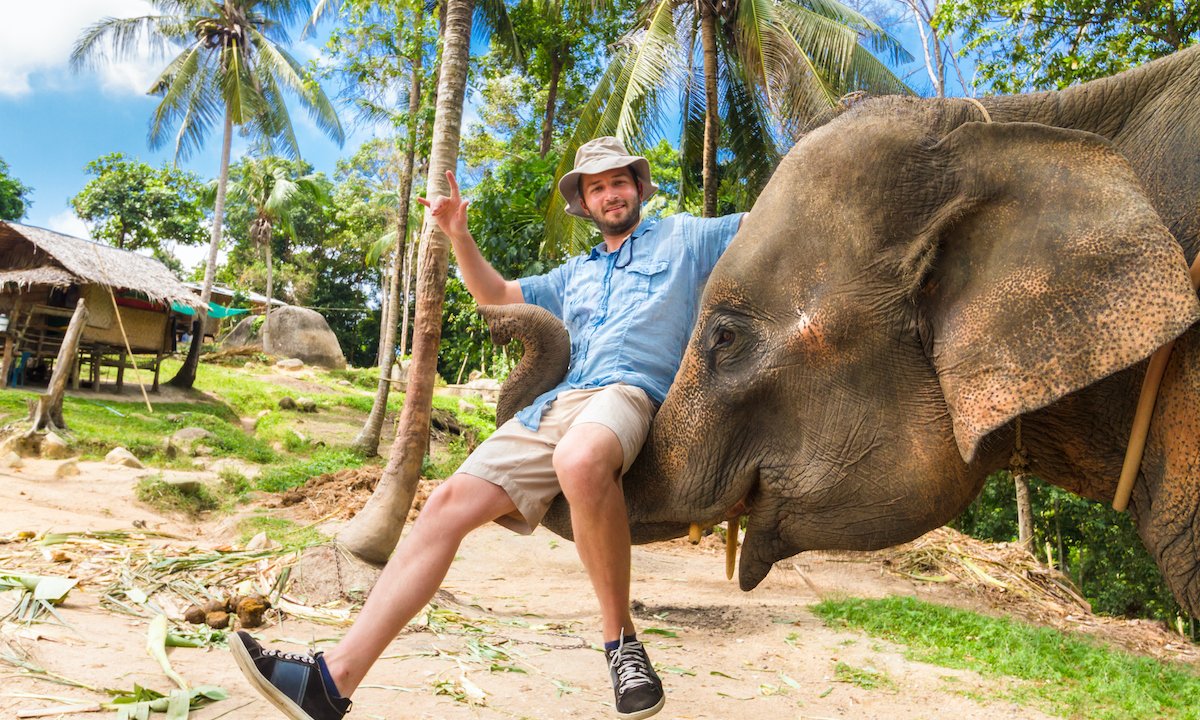Elephant Rides Have a Dark Side. Is Your Vacation Booking Site To Blame?