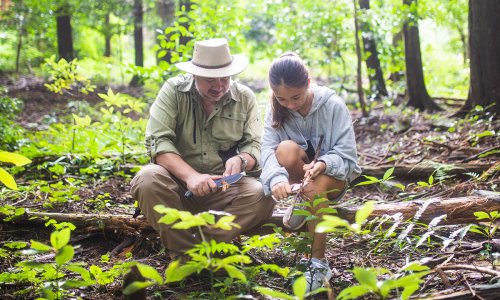 25 Essential Survival Skills for Adventurers