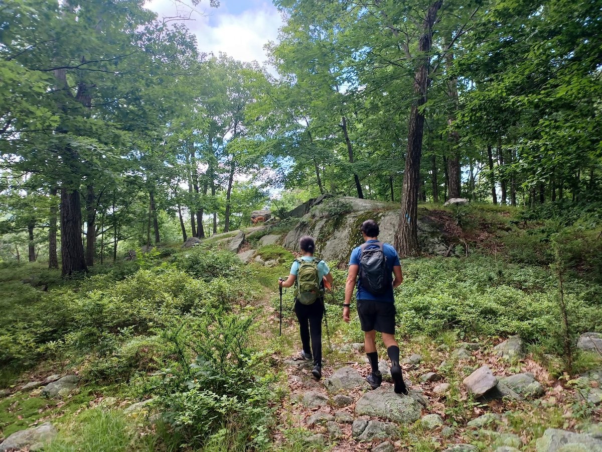 2024’s Top 10 Most-Searched-for Hiking Areas Will Surprise You