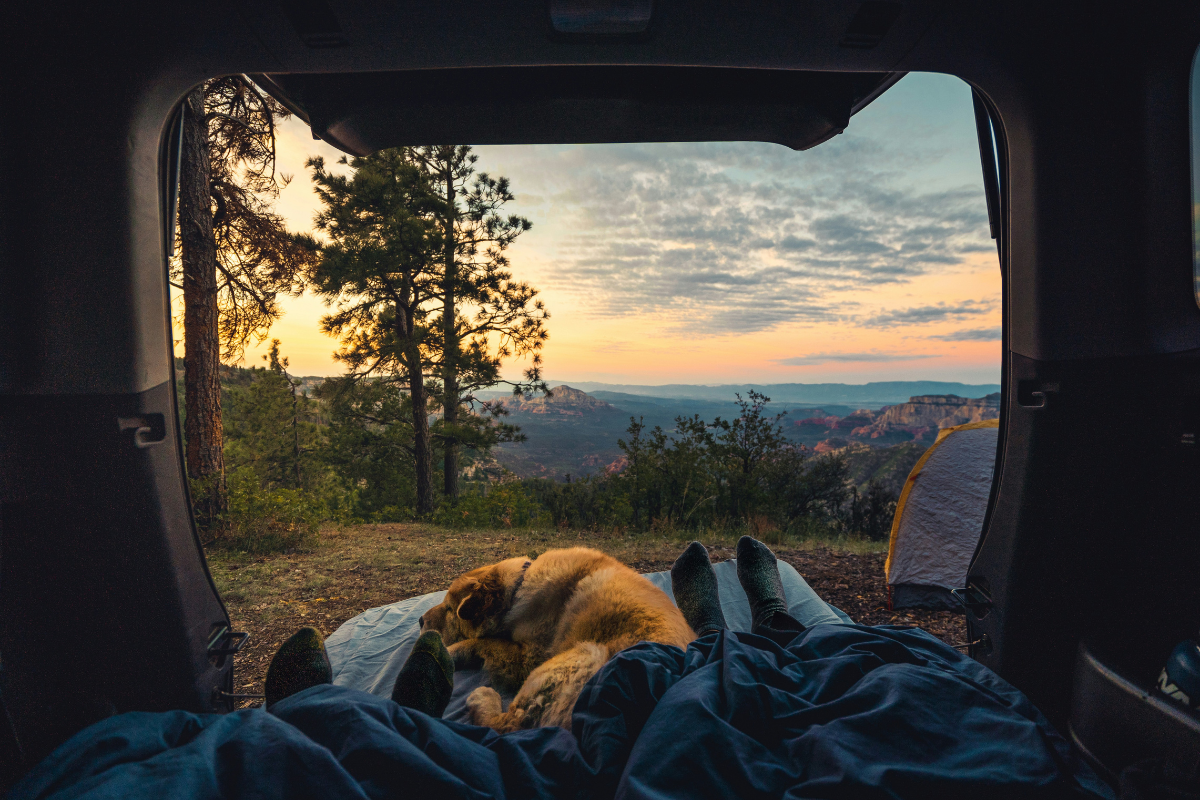 ‘Golden Age of Camping’: A New Report Says the Popularity of Camping Continues to Grow