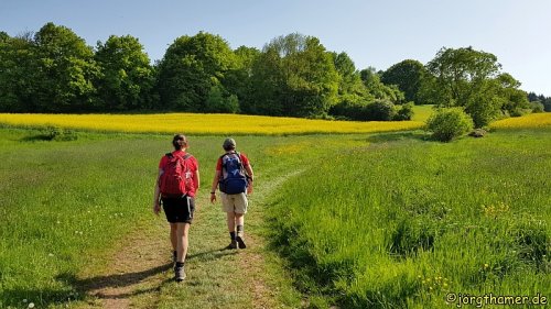 Wandermarathon am Donnersberg 2025: Alles, was du wissen musst