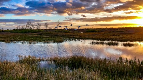 Why we need to learn the forgotten stories of our National Parks