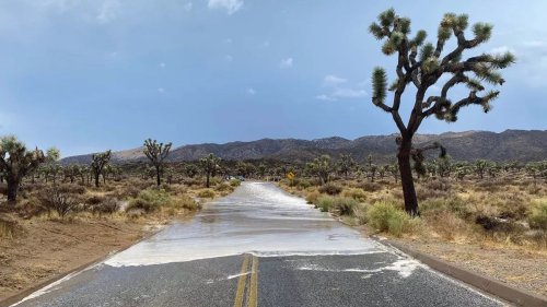 Why national parks keep flooding this summer