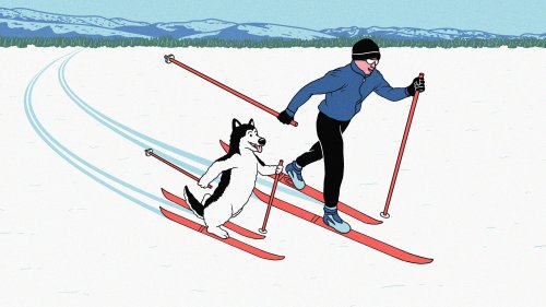 Cross-Country Skiers Have Ruined My Dog Walks
