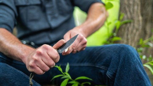 The Ultimate Guide to Choosing an Outdoors Knife