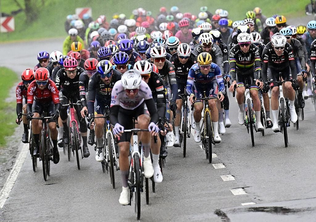 Most Popular Cycling Stories cover image