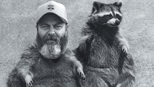 How Not to Trap a Raccoon, a Nick Offerman Confession