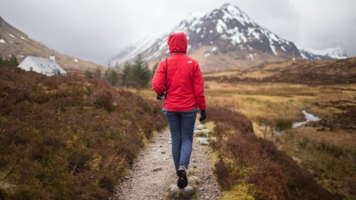 Why Walking Is the Best Thing You Can Do for Your Health