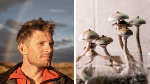 Jim Harris Was Paralyzed. Then He Ate Magic Mushrooms.