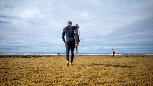 We Have the Science to Make the Best Wetsuits Ever. Just Not the Marketing.