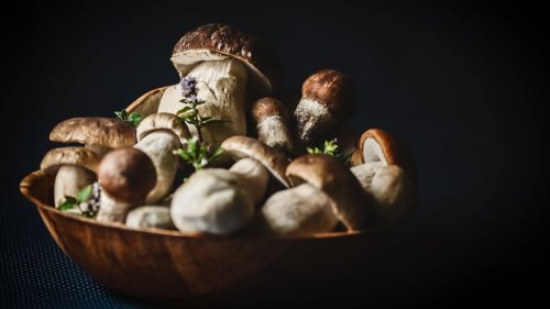 Mushroom Broth Is Magic for Your Body