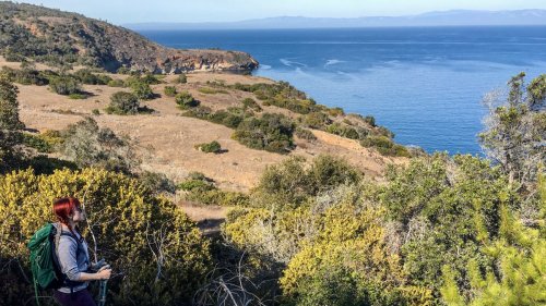 Channel Islands National Park: A Quiet Refuge a Stone’s Throw from Los Angeles
