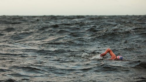 The Beginner’s Guide to Open-Water Swimming