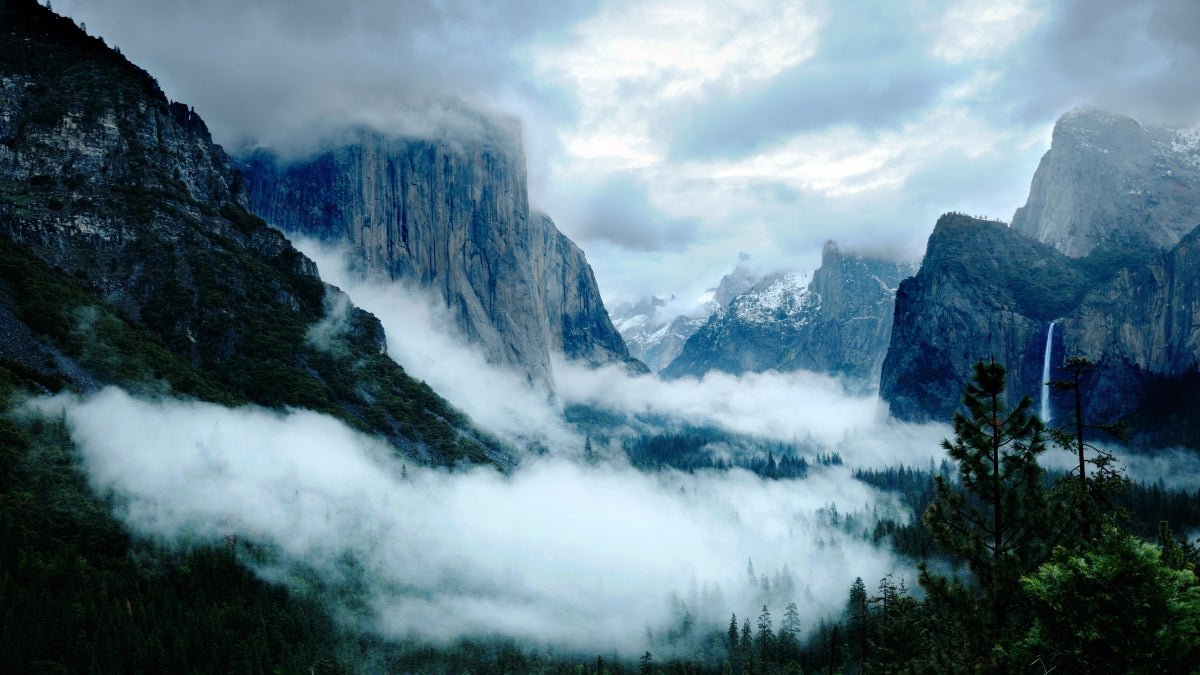 The Yosemite Horror